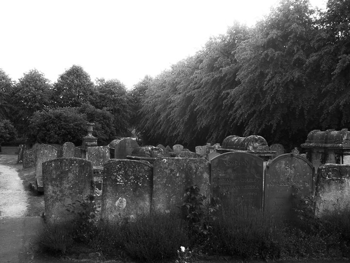 Empty family tombstone in a field with wildflowers. Features placeholder text for a tombstone inscription.