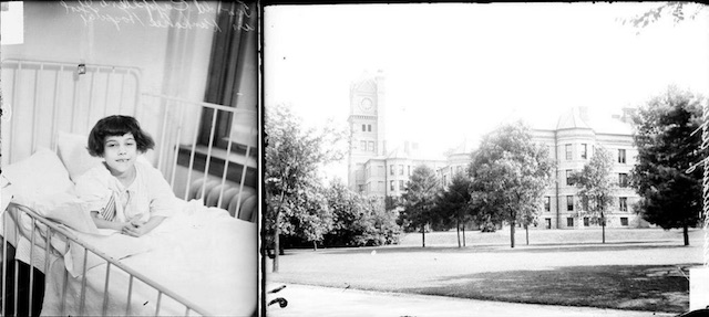 A headstone with the words "OLD FAMILY HEADSTONE" in a field with wildflowers.