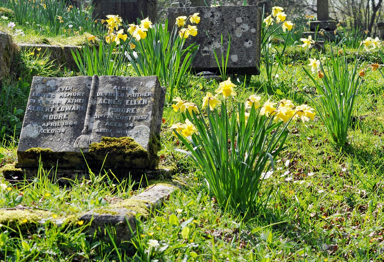 A stone urn overgrown with ivy in a serene garden setting.